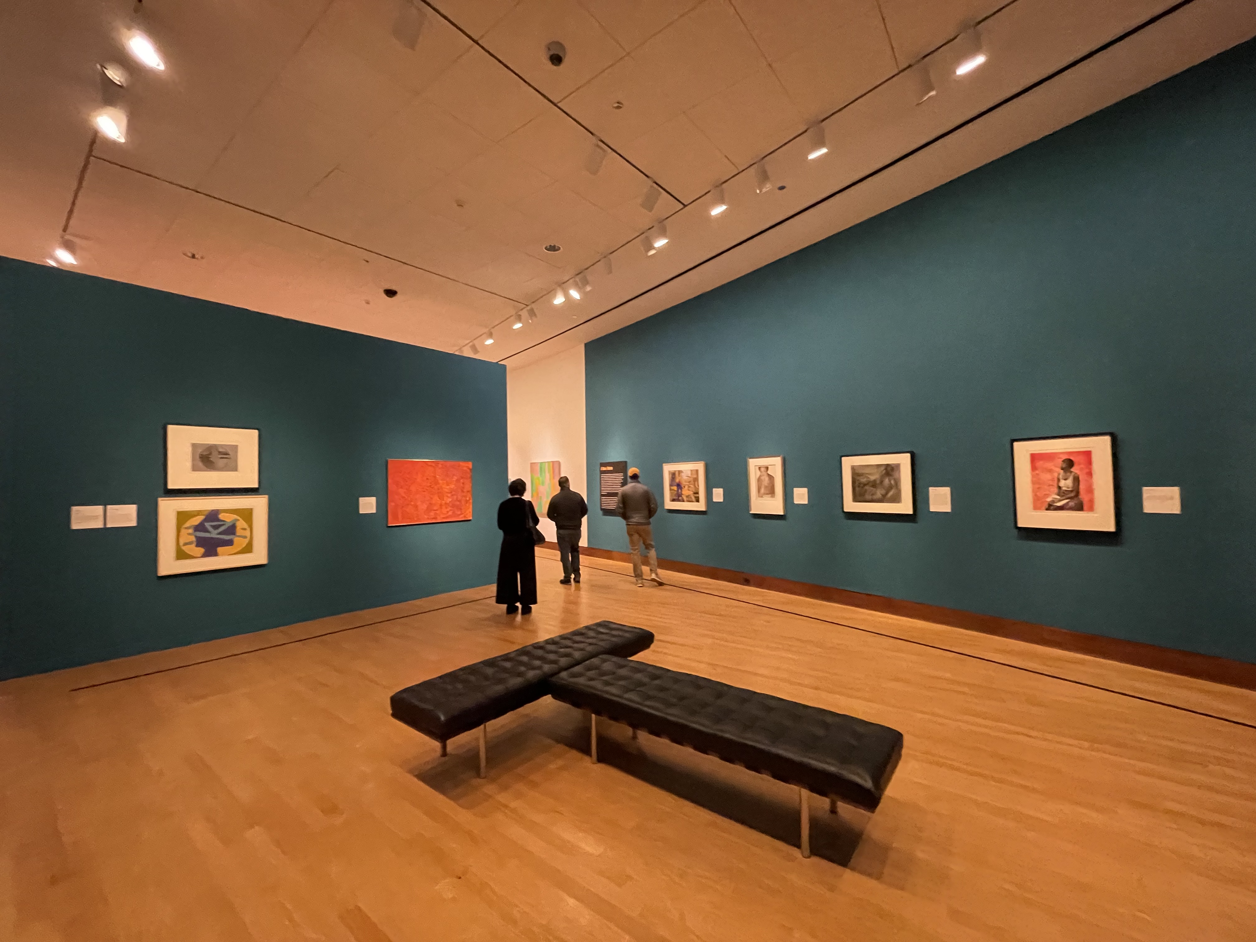 Oklahoma City Museum of Art opens exhibits that depict the history of Black Americans